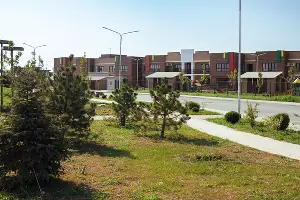 &laquo;Новая Елизаветка&raquo; &copy;&nbsp;Фото Дениса Яковлева, Юга.ру