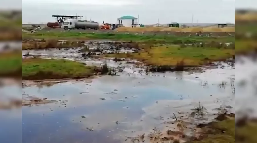  &copy;&nbsp;Скриншот из видео на странице instagram.com/ulica_kaminskogo