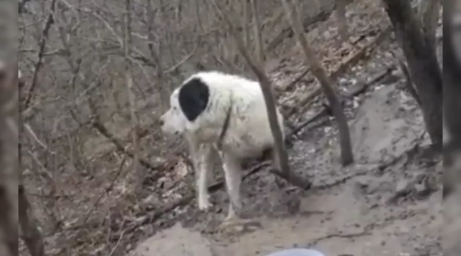  &copy;&nbsp;Кадр из видео телеграм-канала &laquo;ЧП Новороссийск&raquo;, t.me/chpnvrsk