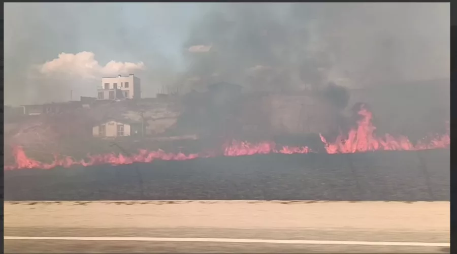  &copy;&nbsp;Скриншот из телеграм-канала &laquo;Юрий Озаровский Анапа Витязево&raquo; https://t.me/MoreOz/36072