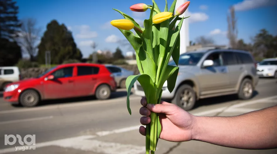 Акция "Цветочный патруль" в Краснодаре  &copy;&nbsp;Фото Елены Синеок, Юга.ру