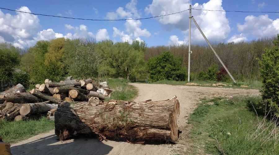  © Фото пресс-службы мэрии Краснодара