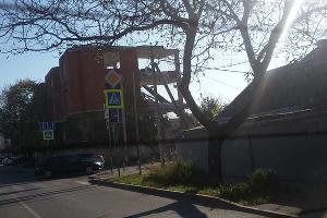  © Фото пресс-службы администрации Краснодара