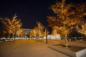 Парк «Краснодар»  с новогодней подсветкой &copy;&nbsp;Фото Елены Синеок, Юга.ру