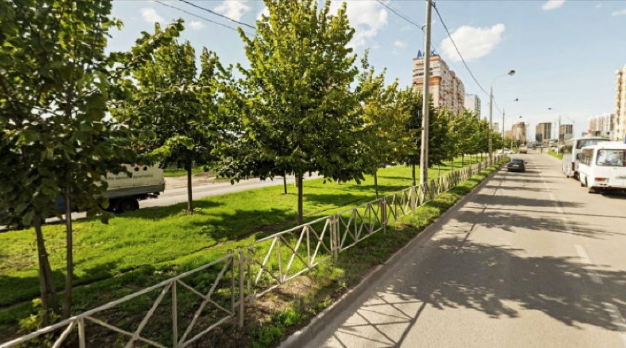  © Фото пресс-службы администрации Краснодара