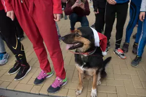  &copy;&nbsp;Нина Зотина, ЮГА.ру