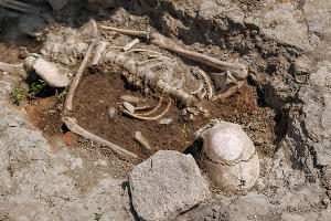 Один из 16 пробитых черепов, свидетельствующих о внезапном нападении захватчиков © Фото Юли Шафаростовой, Юга.ру