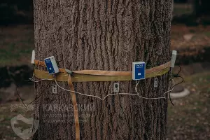  &copy;&nbsp;Фото пресс-службы Кавказского заповедника