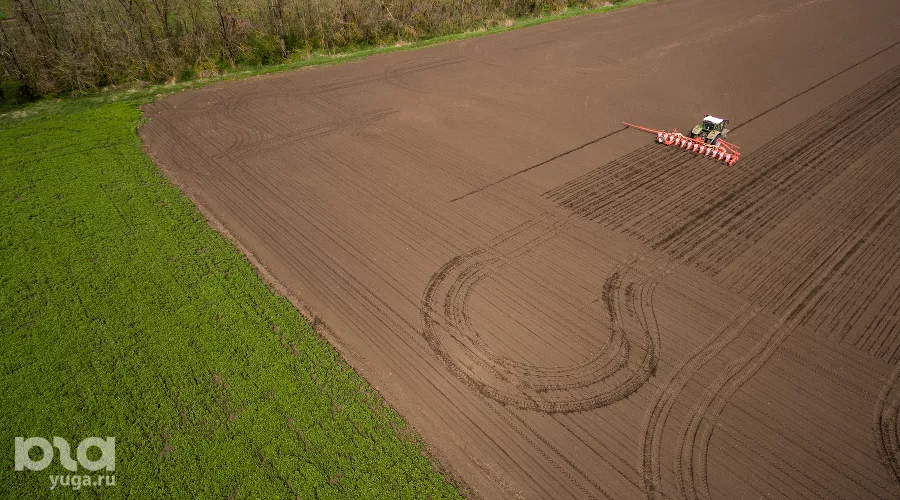  &copy;&nbsp;Фото Виталия Тимкива, Юга.ру