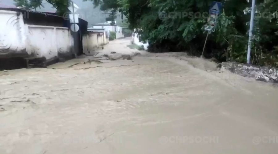  © Скриншот видео из телеграм-канала «ЧП Сочи», t.me/chp_sochi
