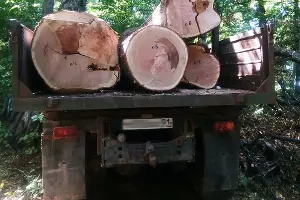  &copy;&nbsp;Фото пресс-службы ГУ МЧС России по Республике Адыгея