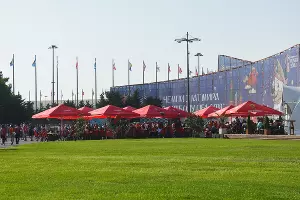 Фанаты на чемпионате мира по футболу в Сочи &copy;&nbsp;Фото Елены Синеок, Юга.ру