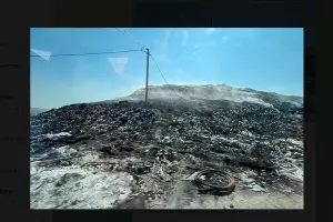  &copy;&nbsp;Скриншот фото из телеграм-канала &laquo;Тихорецкие вести&raquo;