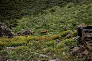  &copy;&nbsp;Фото пресс-службы &laquo;Курорта Красная Поляна&raquo;
