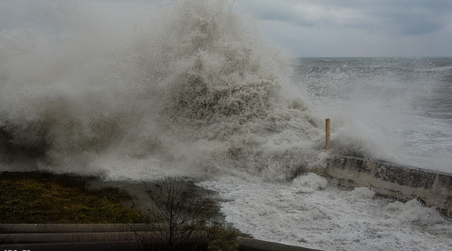  © Фото Нины Зотиной, Юга.ру