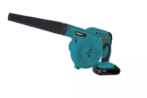 Воздуходувка &copy;&nbsp;Фото с сайта citilink.ru