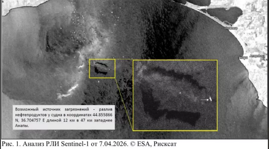  &copy;&nbsp;Скриншот из телеграм-канала &laquo;Прозрачный мир&raquo; https://t.me/twrussia/5978