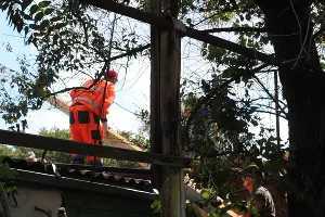  &copy;&nbsp;Фото пресс-службы администрации Краснодара