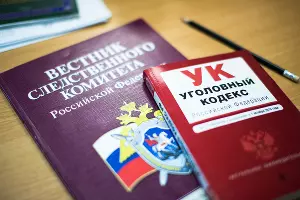  &copy;&nbsp;Фото Елены Синеок, Юга.ру