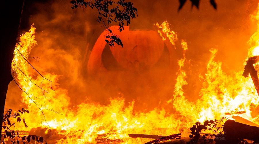  &copy;&nbsp;Фото Анастасии Бобровской из группы &laquo;Типичный Краснодар&raquo;, vk.com/typical_krd