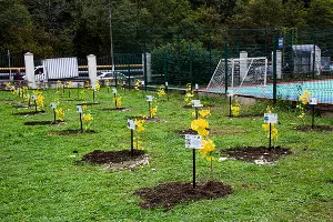  &copy;&nbsp;Фото Инессы Царевой, предоставлено пресс-службой ТМТП