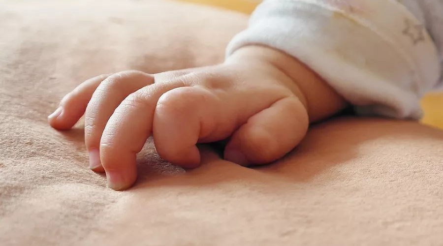  &copy;&nbsp;Фото с сайта pixabay.com