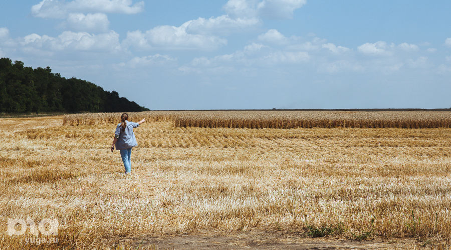  &copy;&nbsp;Фото Амины Ибрагимовой, Юга.ру