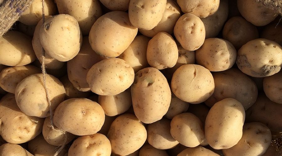 Картошка, картофель © фото с сайта pixabay.com