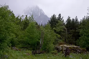  &copy;&nbsp;Фото Влада Александрова, Юга.ру