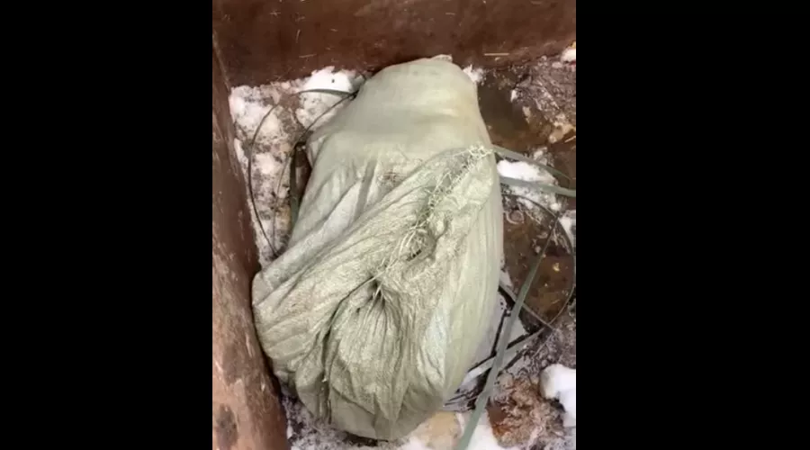  &copy;&nbsp;Скриншот видео из фейсбука Анны Мельниковой, facebook.com/bulldogka