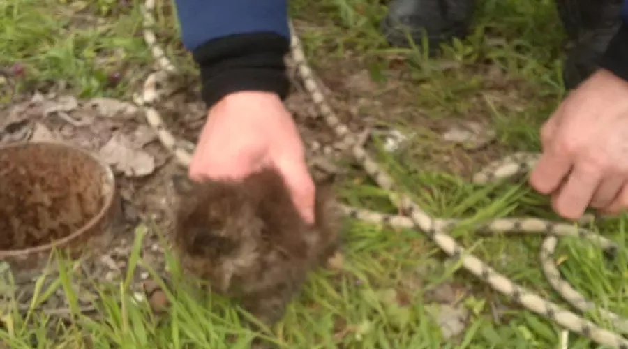  &copy;&nbsp;Фото из инстаграма Алексея Одерова, instagram.com/alekseioderov