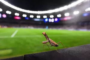 Матч «Краснодар» — «Олимпиакос», Краснодар, 27 августа 2019 года &copy;&nbsp;Фото Елены Синеок, Юга.ру