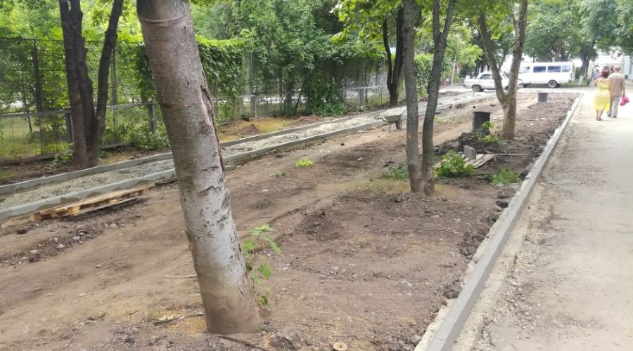  © Фото пресс-службы администрации Краснодара