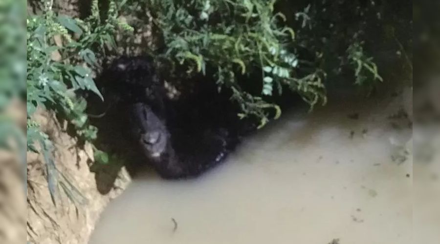  &copy;&nbsp;Фото из инстаграма Алексея Одерова, instagram.com/alekseioderov