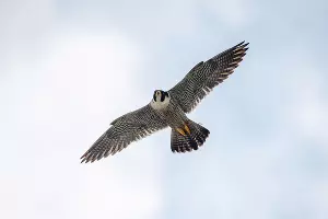  &copy;&nbsp;Фото пресс-службы банка Уралсиб