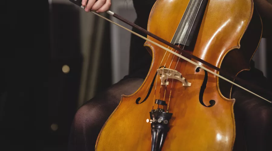  &copy;&nbsp;Фото wavebreakmedia_micro, сайт freepik.com