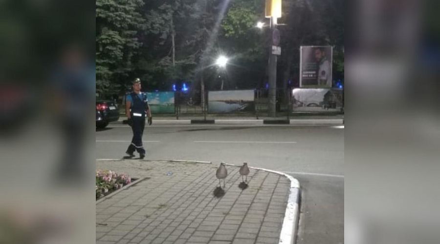  © Фото из инстаграма начальника начальника МБУ ПАСС «Служба спасения» Новороссийска Алексея Одерова, instagram.com/alekseioderov/