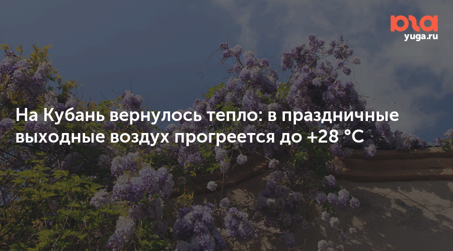 На Кубань вернулось тепло: в праздничные выходные воздух прогреется до +28 °C
