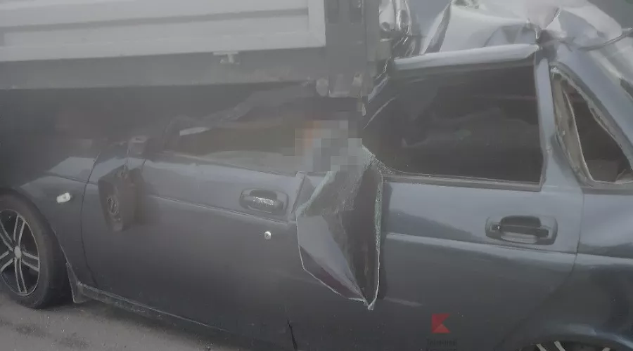  &copy;&nbsp;Фото со страницы vk.com/typical_krd