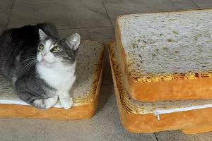  &copy;&nbsp;Фото Марии Журавлевой, Юга.ру