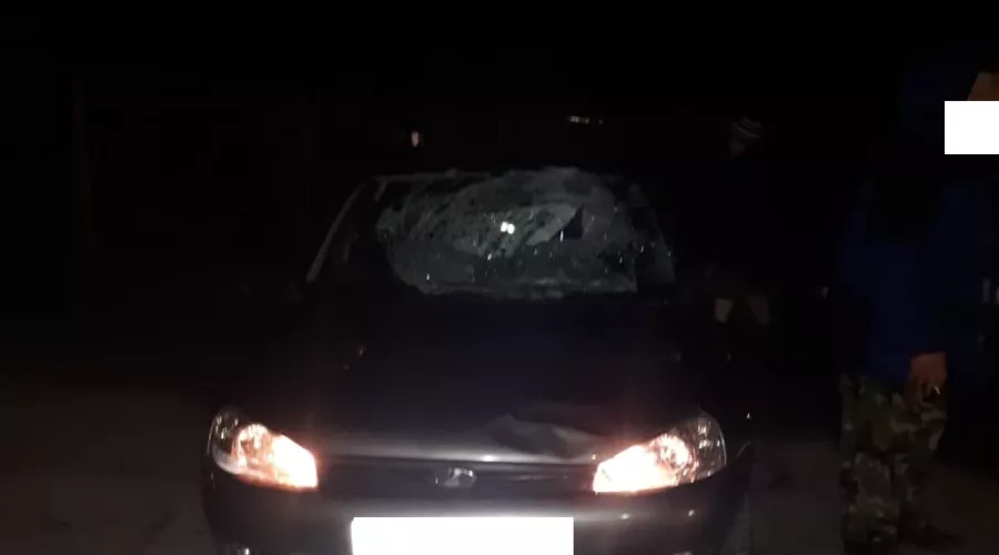  &copy;&nbsp;Фото отдела пропаганды безопасности дорожного движения УГИБДД ГУ МВД России по Ставропольскому краю