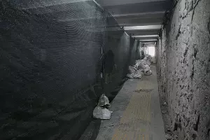  &copy;&nbsp;Фото Карины Сардарян, пресс-служба администрации Краснодара