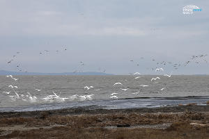  © Фото инфоцентра «Крымский мост»