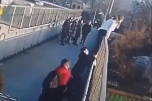  &copy;&nbsp;Скриншот видео из телеграм-канала &laquo;Типичный Краснодар&raquo;, t.me/krd_tipich_ru