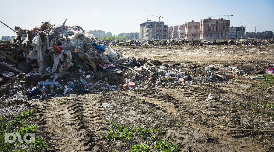  © Фото Елены Синеок, Юга.ру