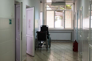  © Фото Елены Синеок, Юга.ру