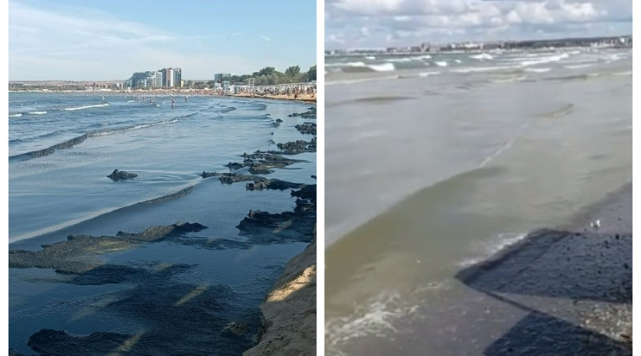  &copy;&nbsp;Скриншот из телеграм-канала эколога Романа Пукалова https://t.me/Roman_eco/2130