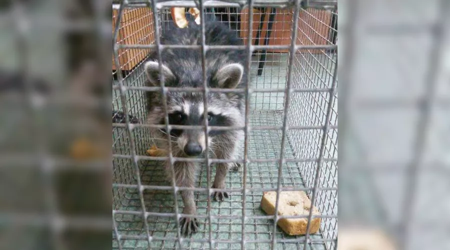  &copy;&nbsp;Фото пресс-службы ГУ МВД по Краснодарскому краю