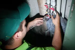  &copy;&nbsp;Фото ГУК &laquo;Краснодар&raquo;