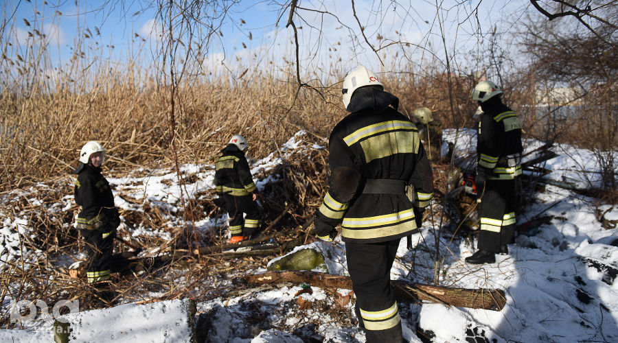  &copy;&nbsp;Фото Елены Синеок, Юга.ру